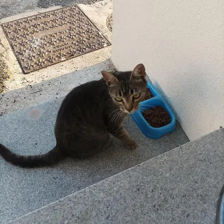 Tatil Evi Casanita Trancoso