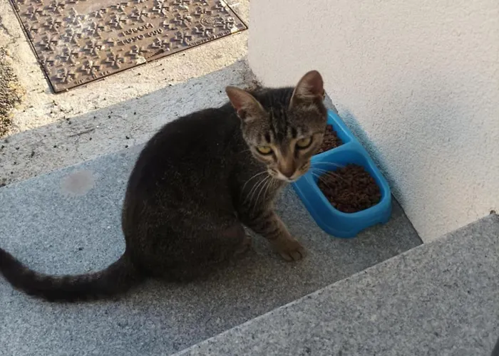 Hébergement de vacances Casanita Trancoso